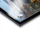 SIGNS OF WINTER ARRIVING Acrylic print