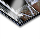 CAN I COME TOO PLEASE Acrylic print