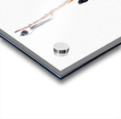 MAGPIE CONVENTION 2 IN MEETING Acrylic print