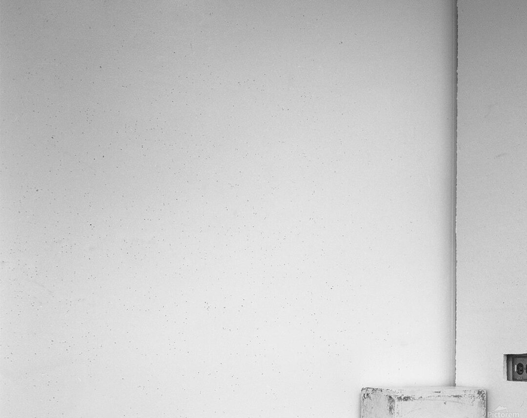 VAN GOGH FLOWERS EXHIBIT Acrylic Print