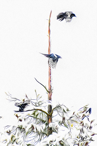 MAGPIE CONVENTION 3 CONCLUDED