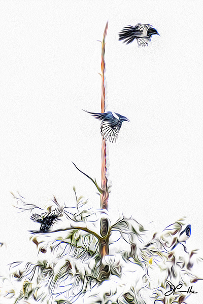 MAGPIE CONVENTION 3 CONCLUDED by Jerre Paquette