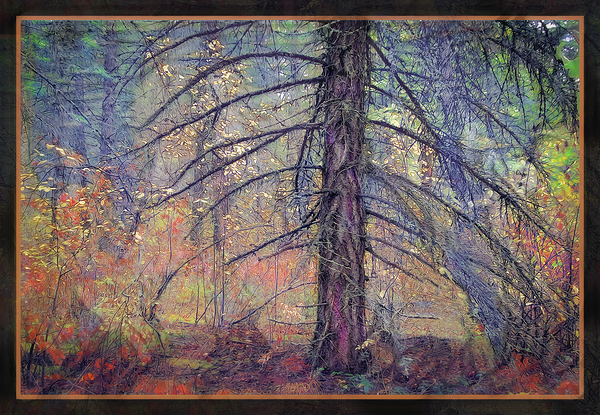 ORCHESTRAL CONDUCTOR OF FALL COLOURS by Jerre Paquette