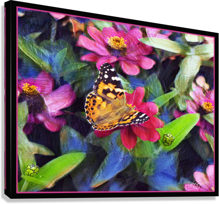 PAINTED LADY BUTTERFLY Canvas Print