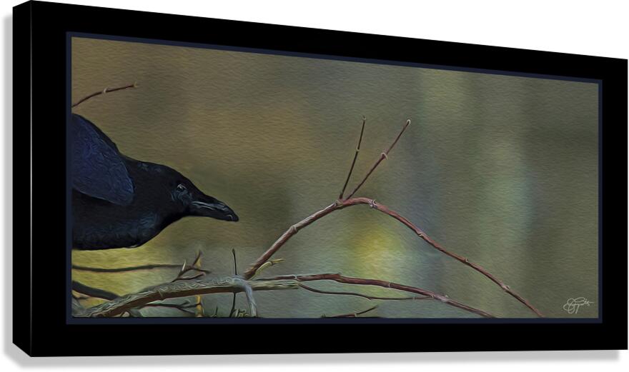 EDGAR ALLAN CROW Canvas Print
