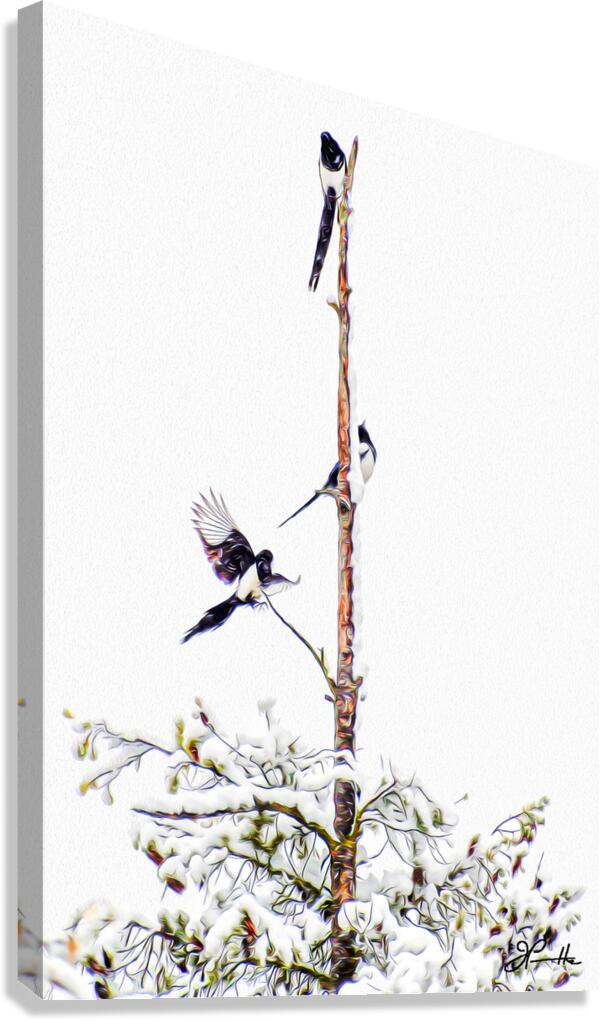 MAGPIE CONVENTION 1 ARRIVING Canvas Print