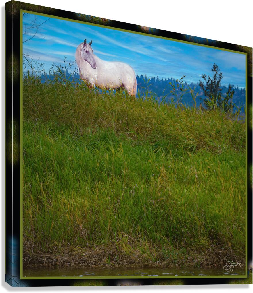 WHITE HOURSE ALONG THE SHUSWAP RIVER Canvas Print