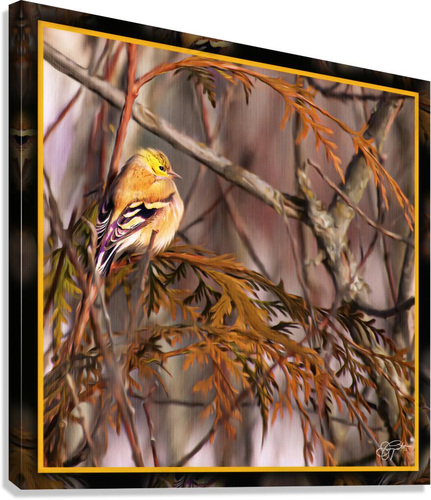 GOLD FINCH CONTEMPLATION Canvas Print