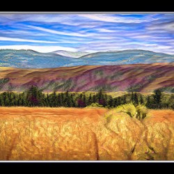 HEAD SMASHED IN INDIGENOUS SITE