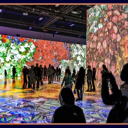 VAN GOGH FLOWERS EXHIBIT