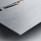 MAGPIE CONVENTION 2 IN MEETING Metal print