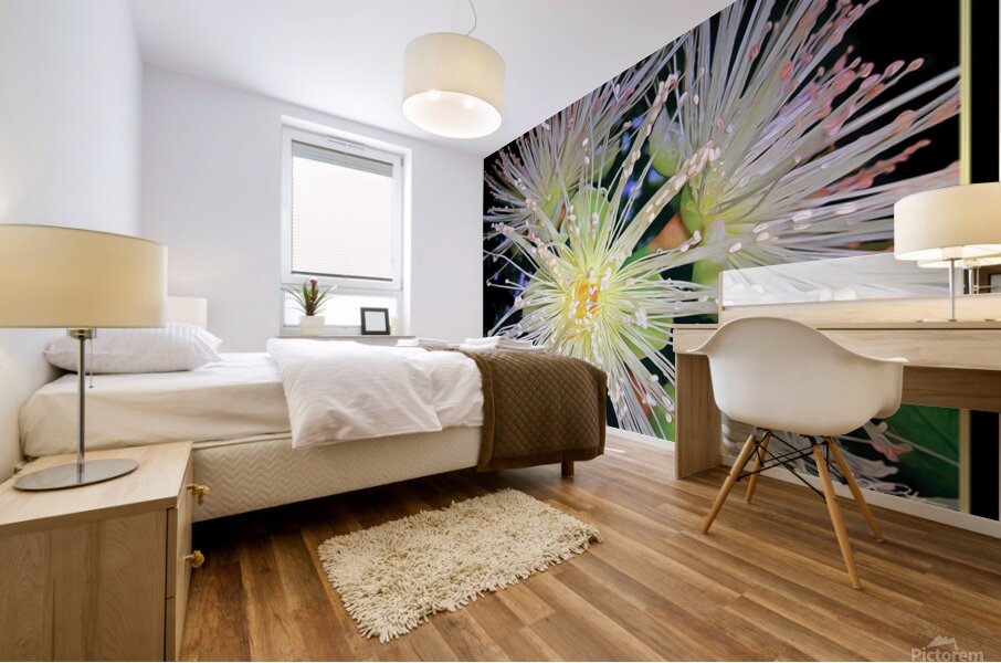 GUAVA BLOSSOMS Mural print