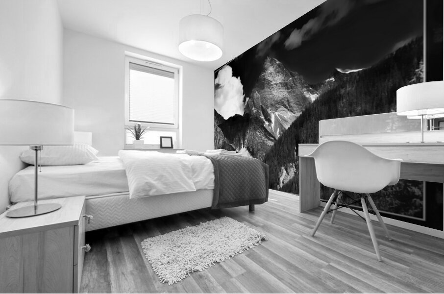 MOUNT SIR DONALD SELKIRKS Mural print