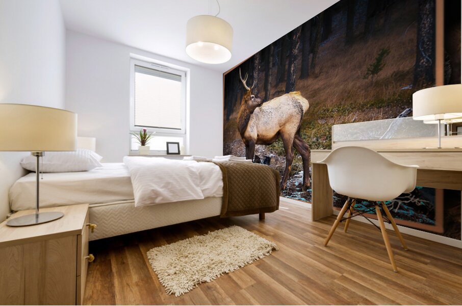 ELK WARY Mural print