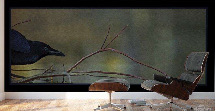 EDGAR ALLAN CROW Wall Murals