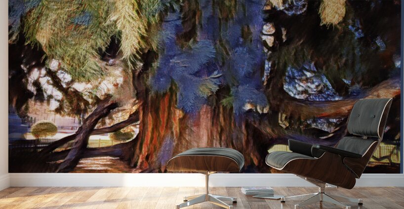 SEQUOIA TREE VICTORIA B.C Wall Murals