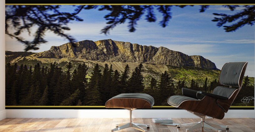 YAMNUSKA MOUNTAIN NEAR BANFF DRIVE BY Wall Murals