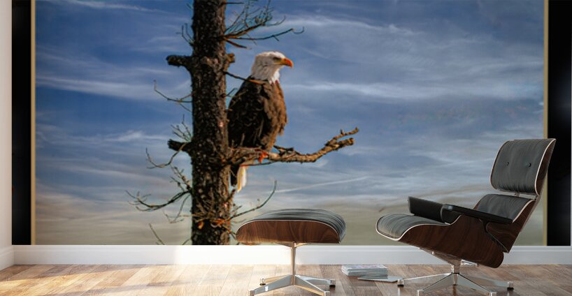 BALD EAGLE ON COPPER ISLAND Wall Murals