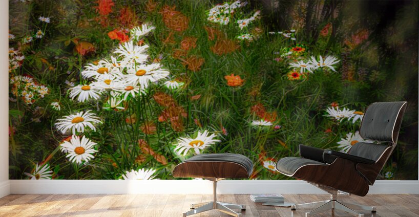 Daisy Sun Catchers Wall Murals