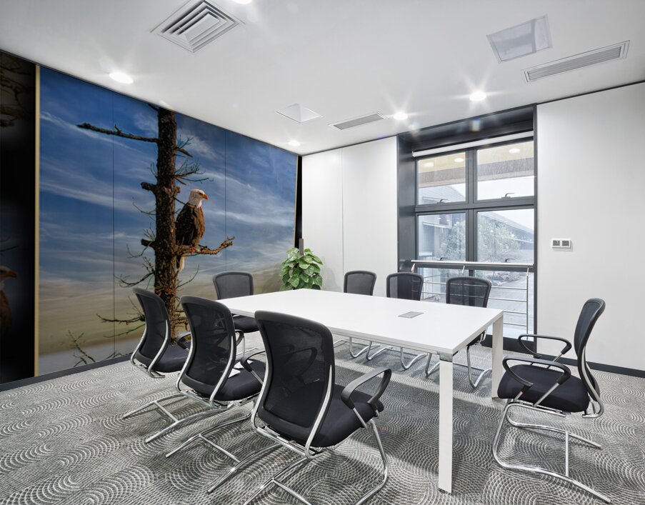 BALD EAGLE ON COPPER ISLAND Wall Printing