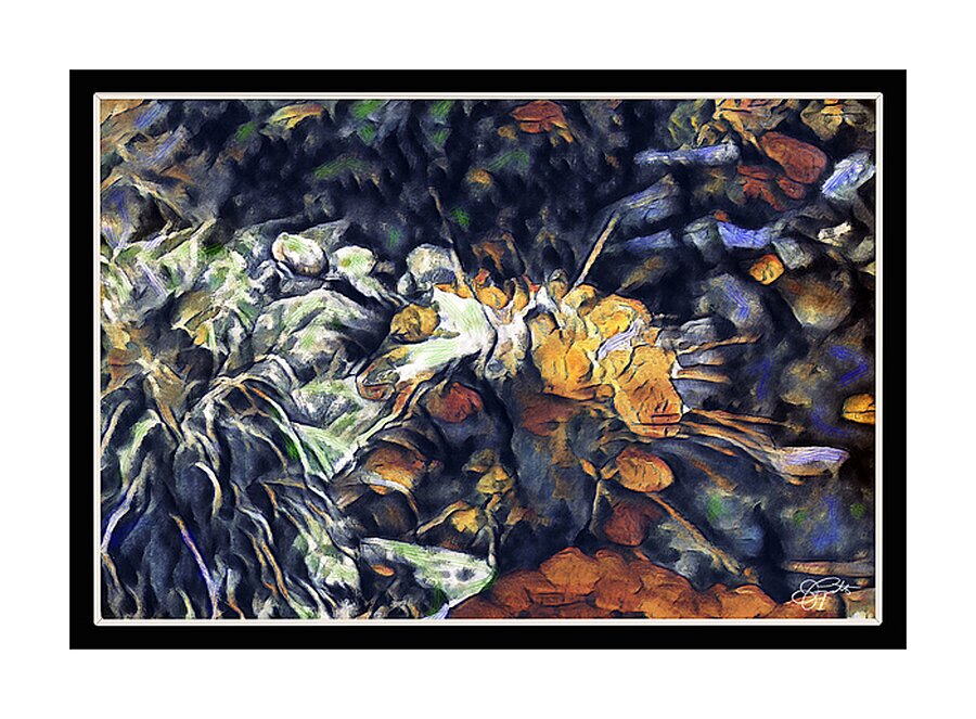 POND REFLECTIONS Abstract Picture Frame print