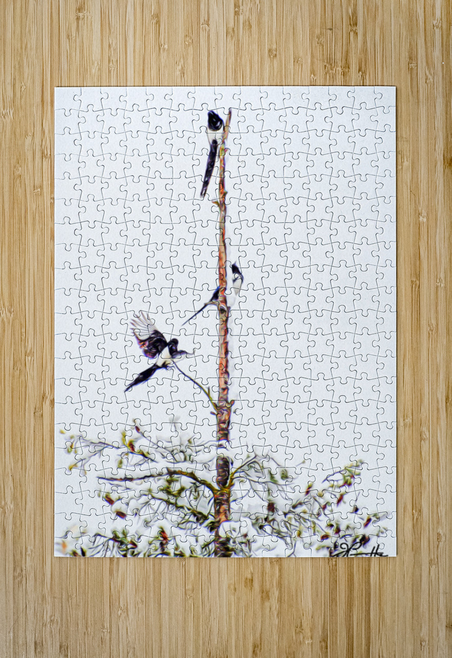 MAGPIE CONVENTION 1 ARRIVING Jerre Paquette Puzzle printing