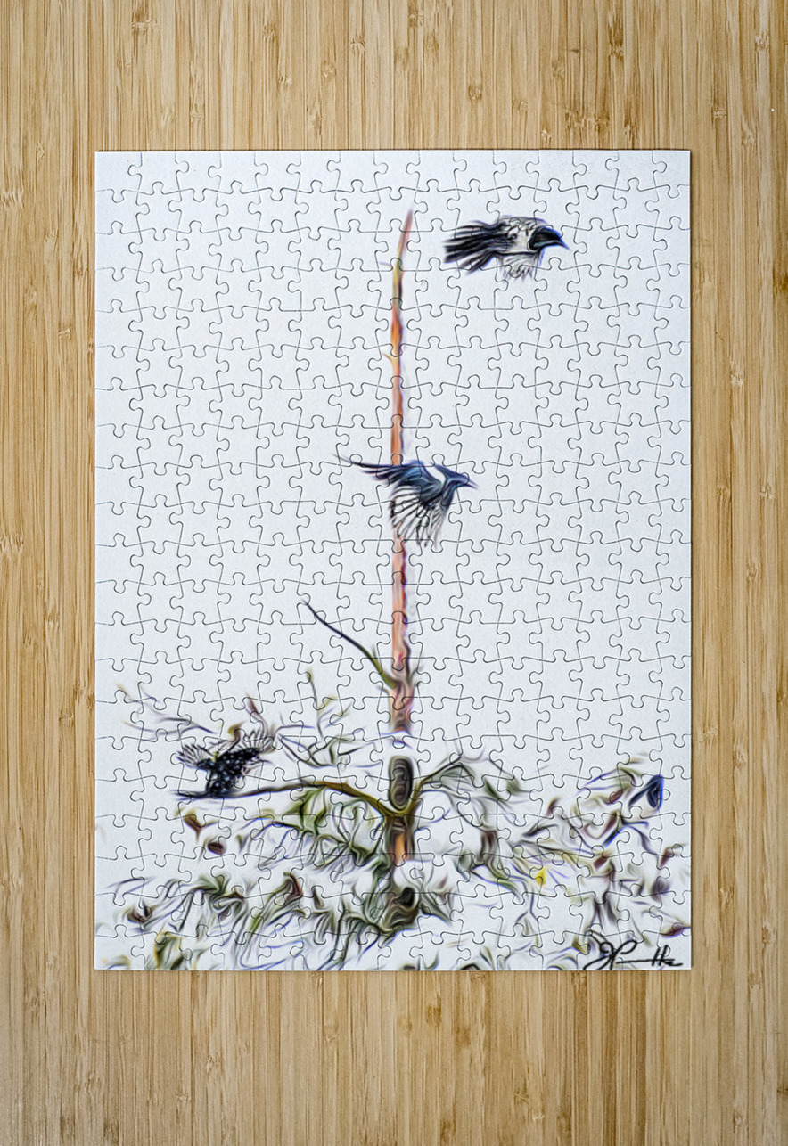 MAGPIE CONVENTION 3 CONCLUDED Jerre Paquette Puzzle printing