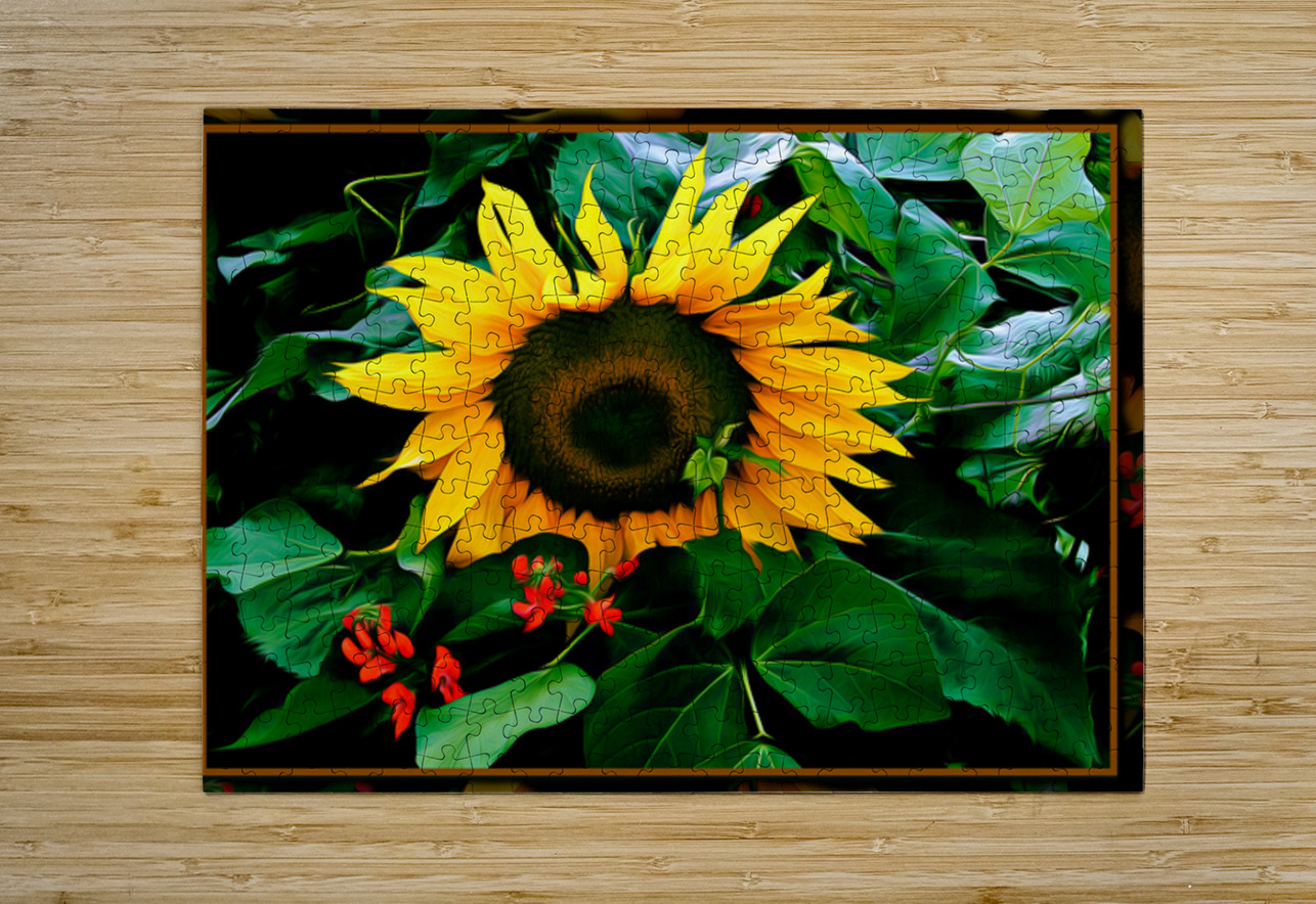 SUN FLOWER SCARLET RUNNERS Jerre Paquette Puzzle printing