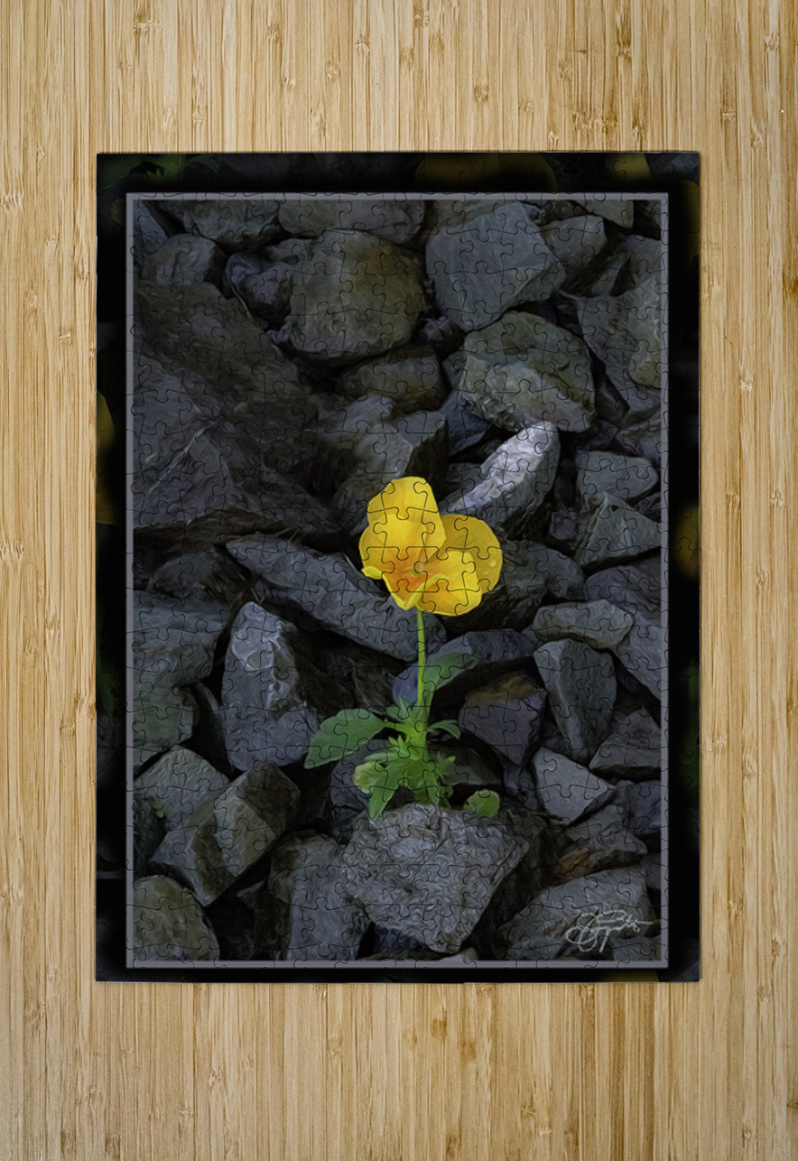 SOFT STRONG POPS UP TOO Jerre Paquette Puzzle printing