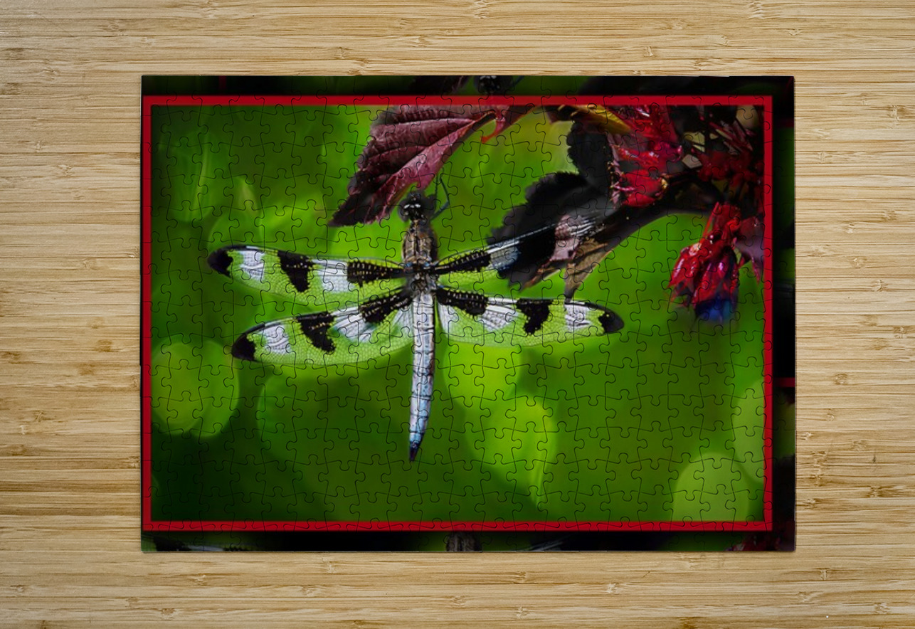 BLACK WHITE DRAGONFLY Jerre Paquette Puzzle printing