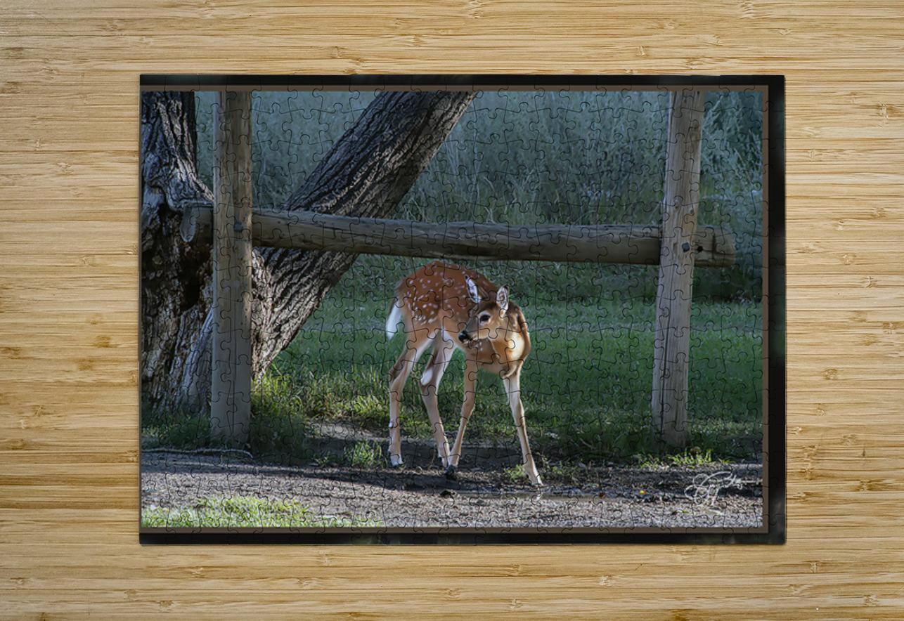 FAWN WHERE S MOM Jerre Paquette Puzzle printing