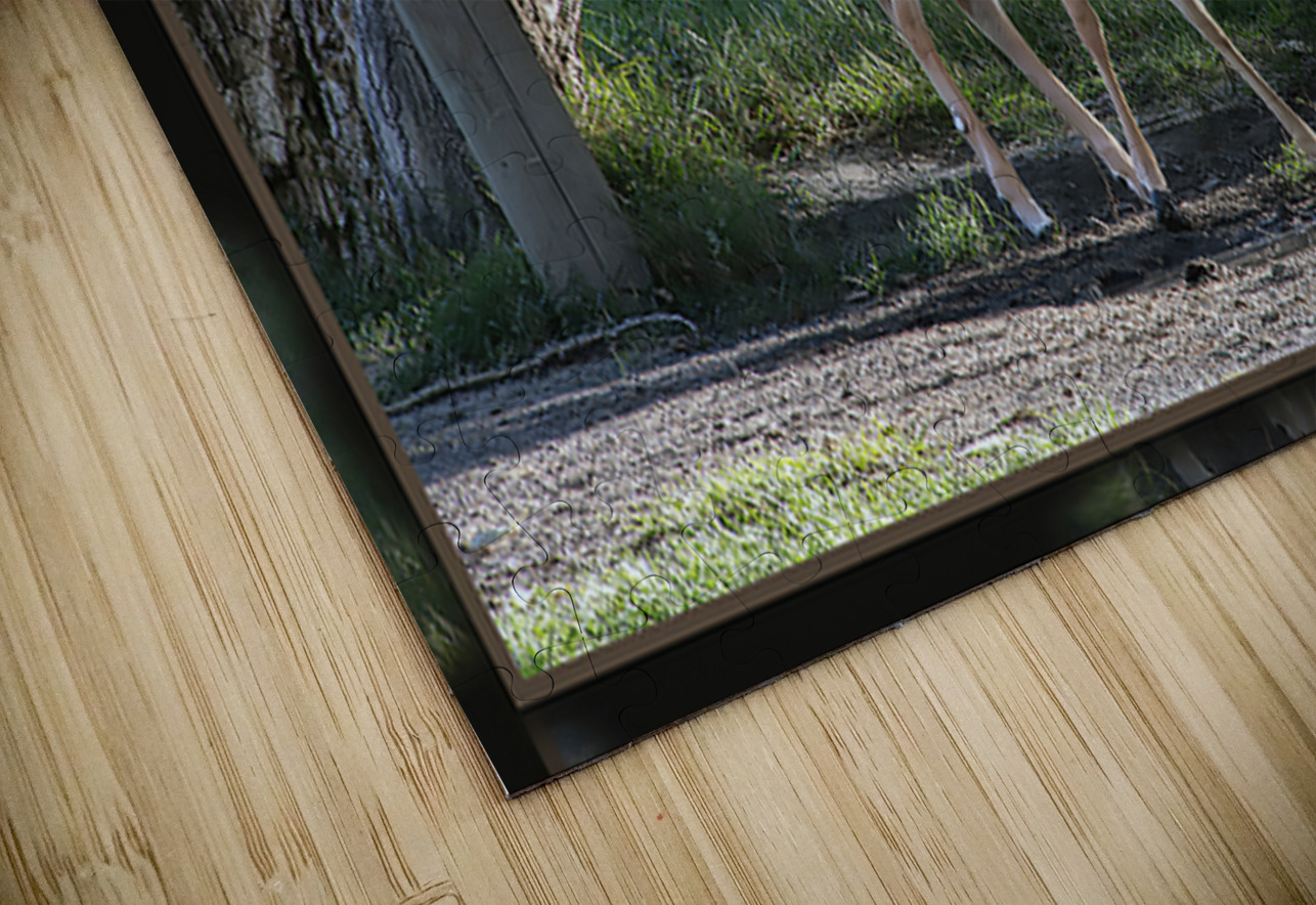 FAWN WHERE S MOM Jerre Paquette Puzzle