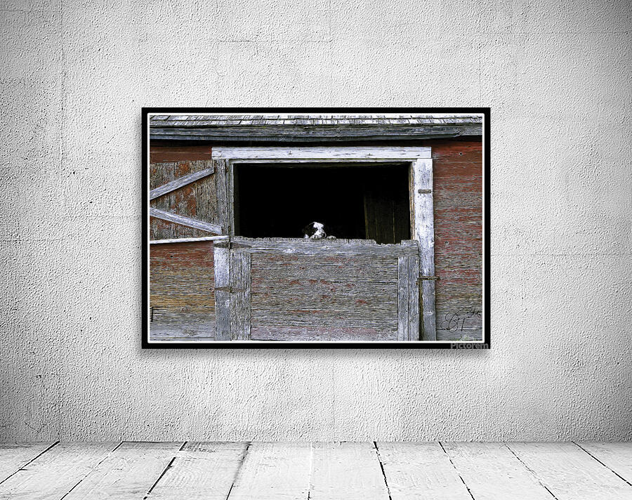 CAN I COME TOO PLEASE Wall Preview