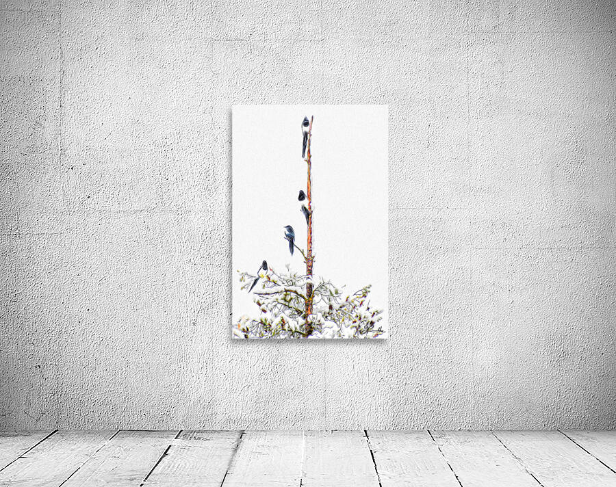 MAGPIE CONVENTION 2 IN MEETING Wall Preview