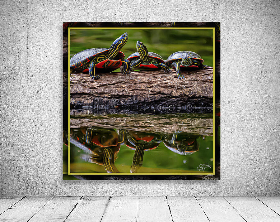 PAINTED TURTLES SUNNING Wall Preview