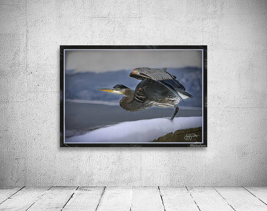 BLUE HERON LIFTOFF Wall Preview