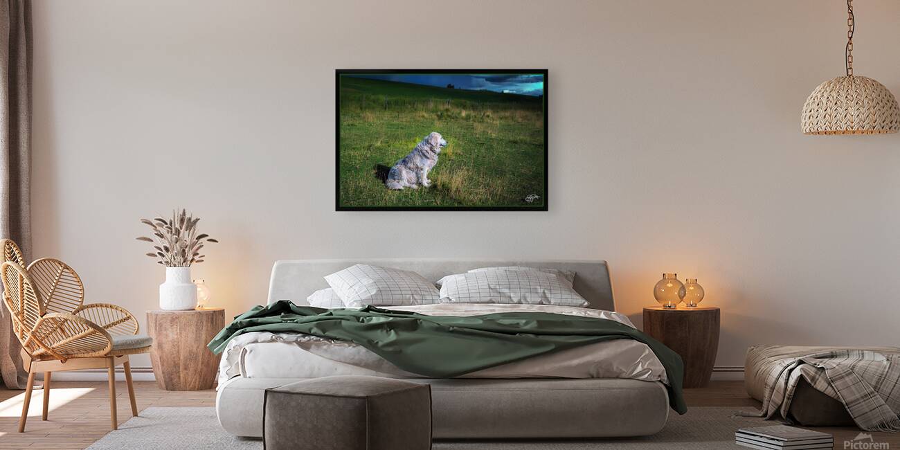 ELDER SHEEP DOG Reproduction