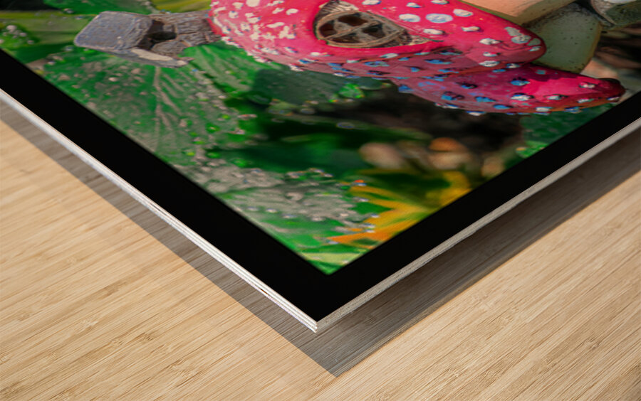 GARDEN HOUSE Wood print