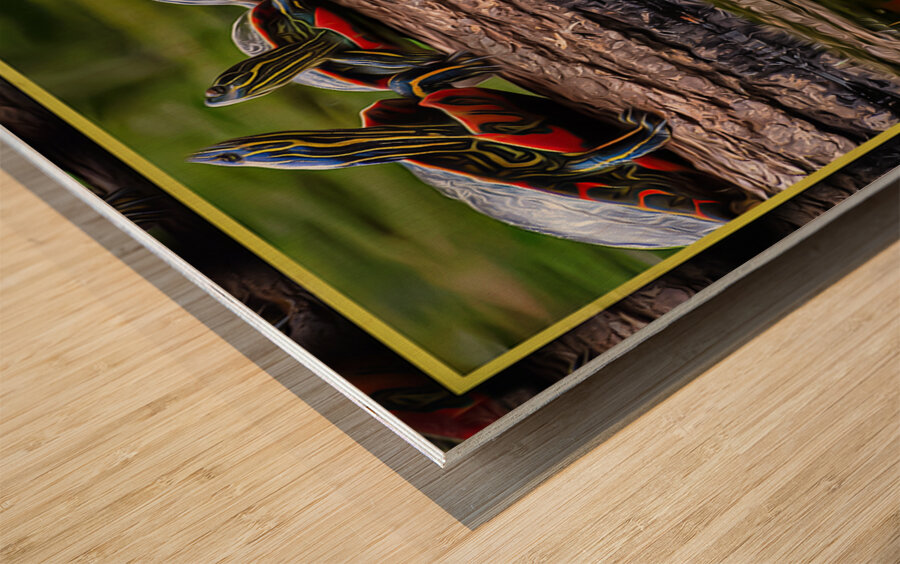 PAINTED TURTLES SUNNING Wood print