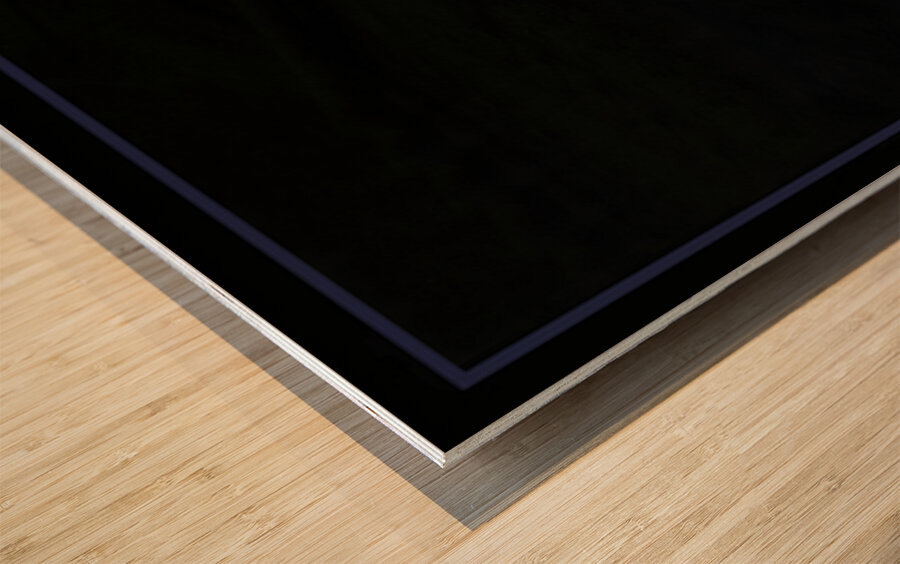 DRAKE MY FRIEND Wood print